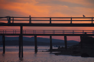 Docks at Sunset, Castine, Maine - Roddy Scheer Photography